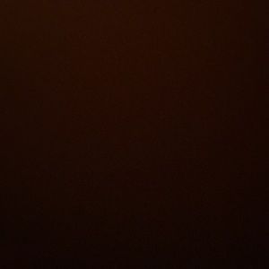 Meet your Posher, Adrianna